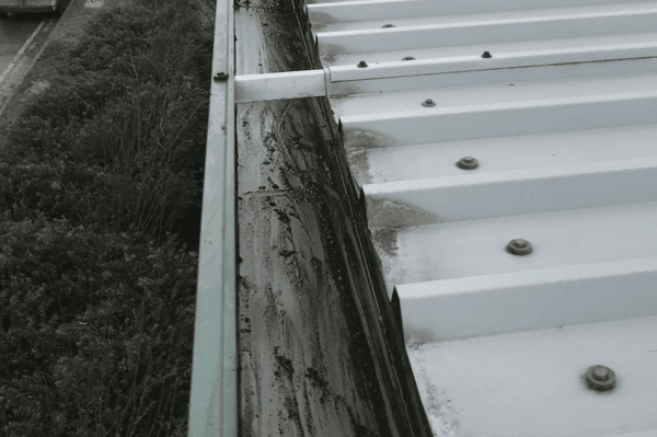 Commercial gutter cleaning specialists in Hoddesdon
